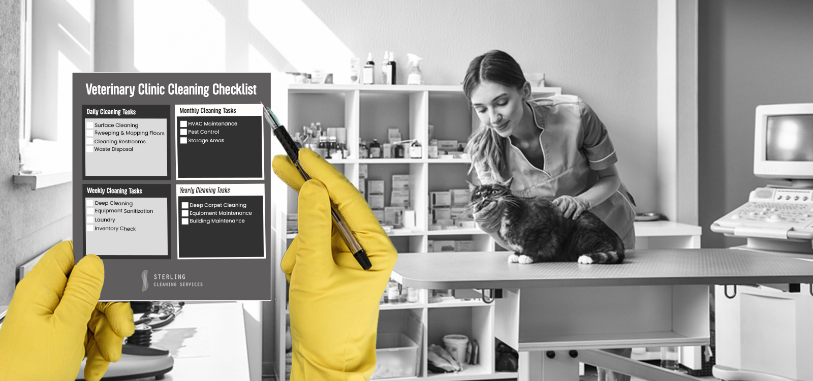 Veterinary Clinic Cleaning Checklist Sterling Cleaning Services